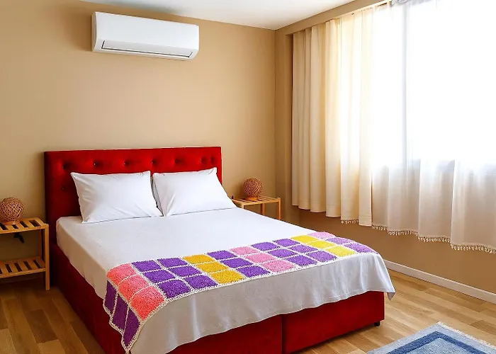 Проживание в семье Hayat *